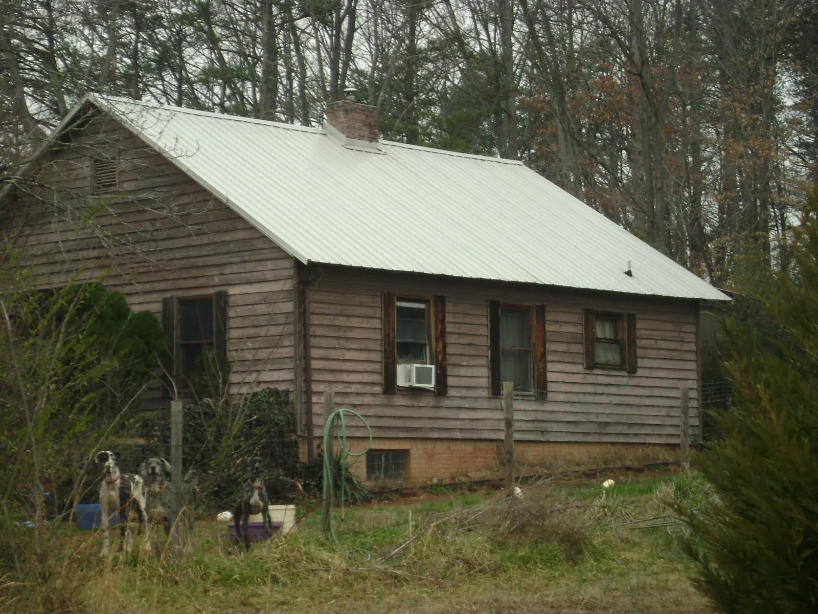 White metal roof on an old wood sided farmhouse, from a Asphalt Shingle Roof Repair job in Harvest